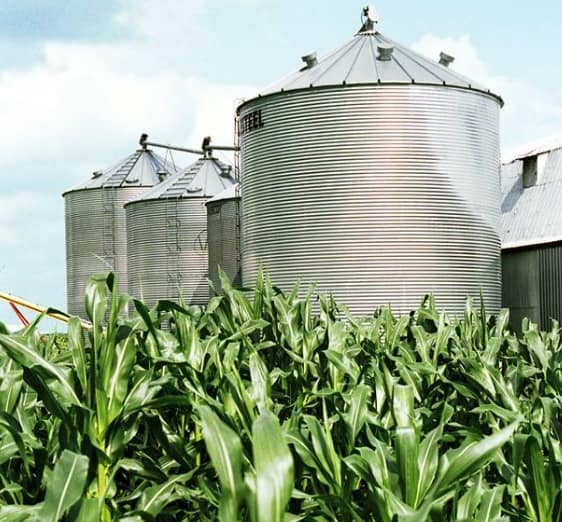 agriculture agricole