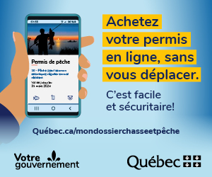 Publicité