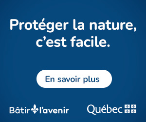 Publicité